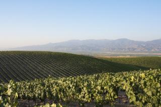 Kavaklidere ©Wines of Turkey